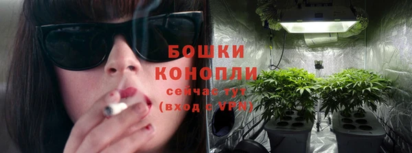 ПСИЛОЦИБИНОВЫЕ ГРИБЫ Кулебаки