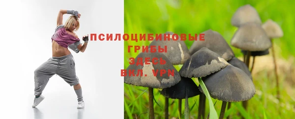 ПСИЛОЦИБИНОВЫЕ ГРИБЫ Кулебаки
