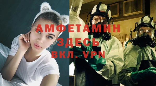 ПСИЛОЦИБИНОВЫЕ ГРИБЫ Кулебаки