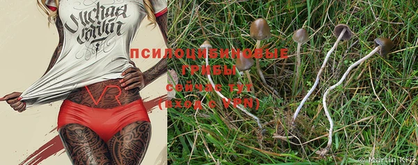 ПСИЛОЦИБИНОВЫЕ ГРИБЫ Кулебаки